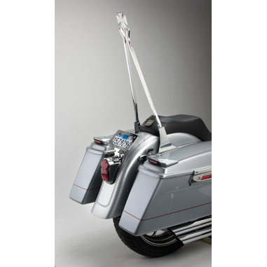 ATTITUDE-STYLE SISSY BAR STICKS