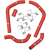 RADIATOR HOSE/CLAMP KIT Other