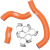 RADIATOR HOSE/CLAMP KIT Other