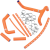 RADIATOR HOSE/CLAMP KIT Other