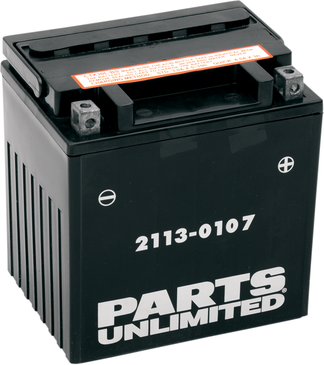 BATTERY YIX30L-BS