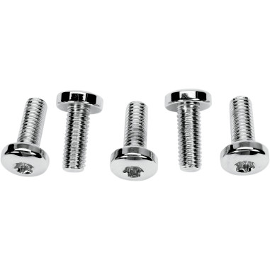 RR.ROTOR TORX 97-09 B.T.