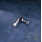 Chrome Shifter Ball Joint />