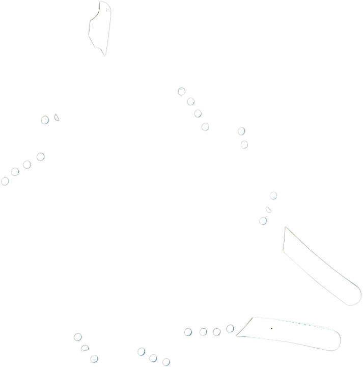 STINGER FENDER 21