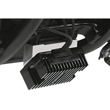 CUSTOM REGULATOR MOUNT