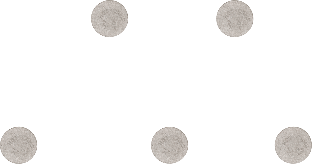 Replacement Valve Shims undefined