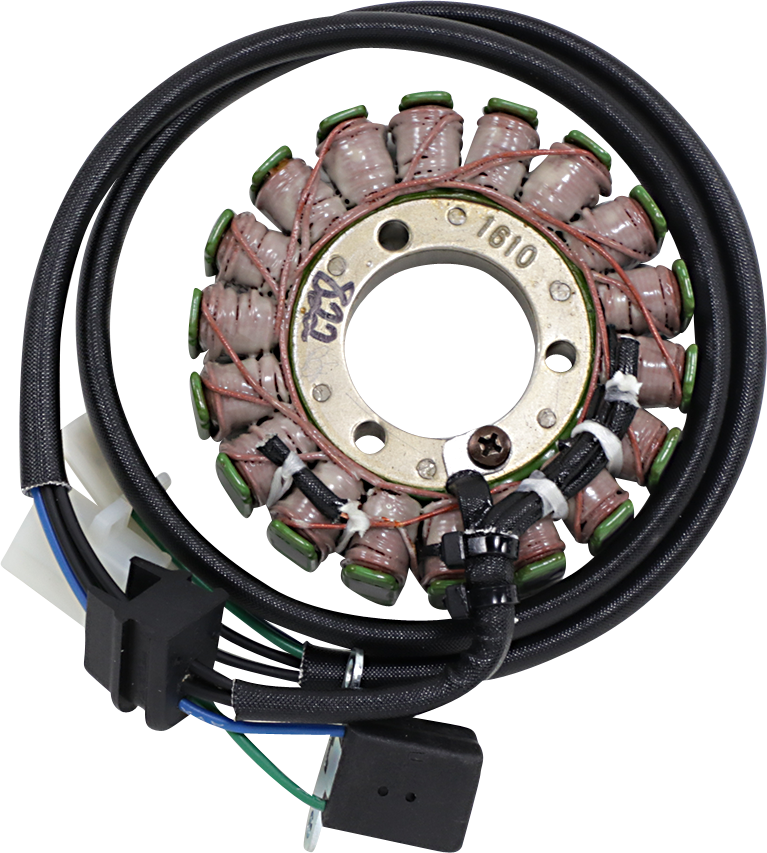 RICK'S MOTORSPORT ELECTRIC OEM Style Stator