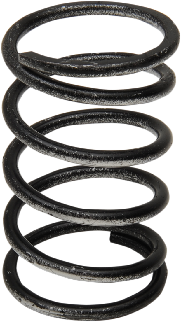 Clutch Spring undefined