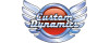 CUSTOM DYNAMICS
