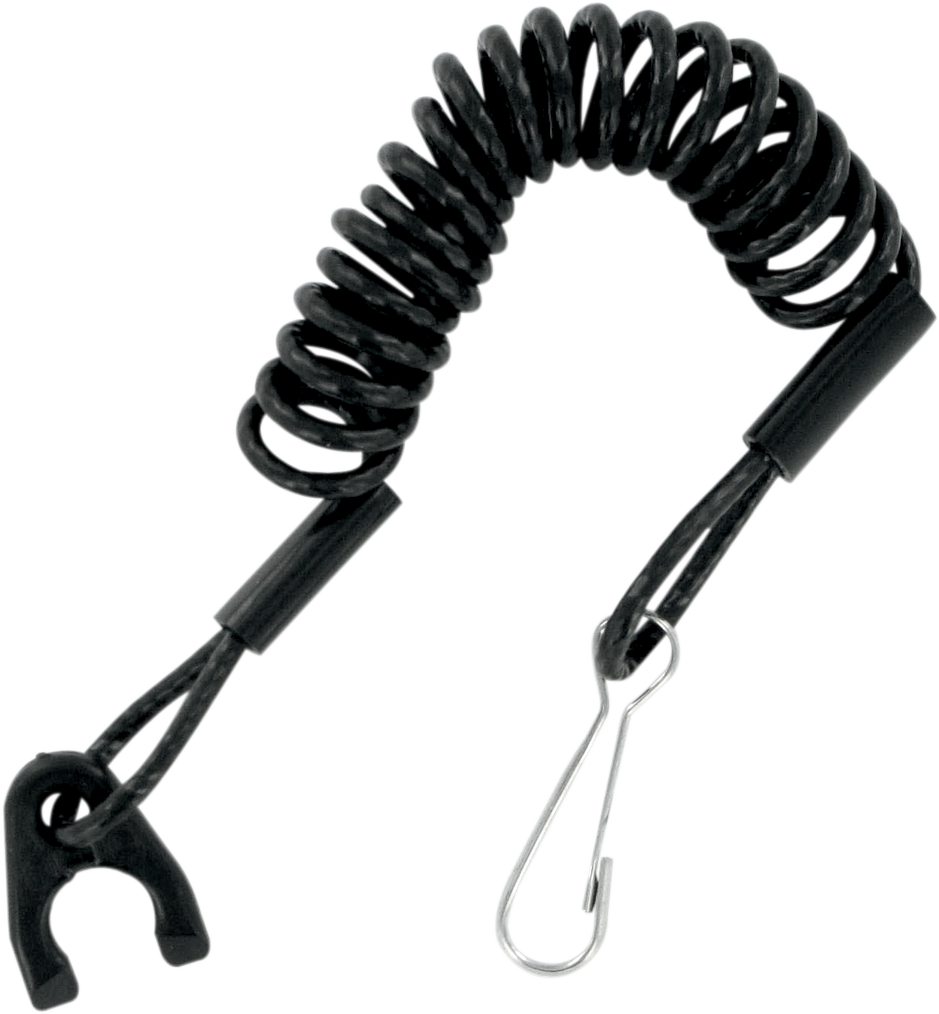 Replacement Lanyard undefined