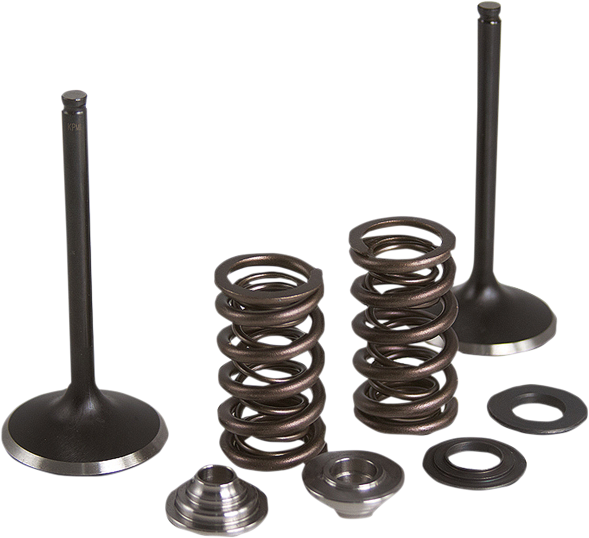 Stainless Steel Conversion Valve and Spring Kit undefined