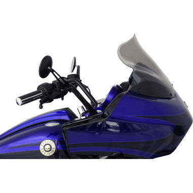 WSHLD 12 98-13FLTR TINT