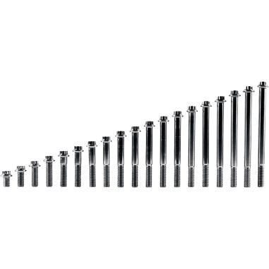 BOLT 12PT 1/4-20X1/2