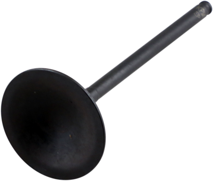 Black Diamond™ Engine Valve undefined