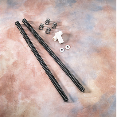 FORK LOWERING KITS