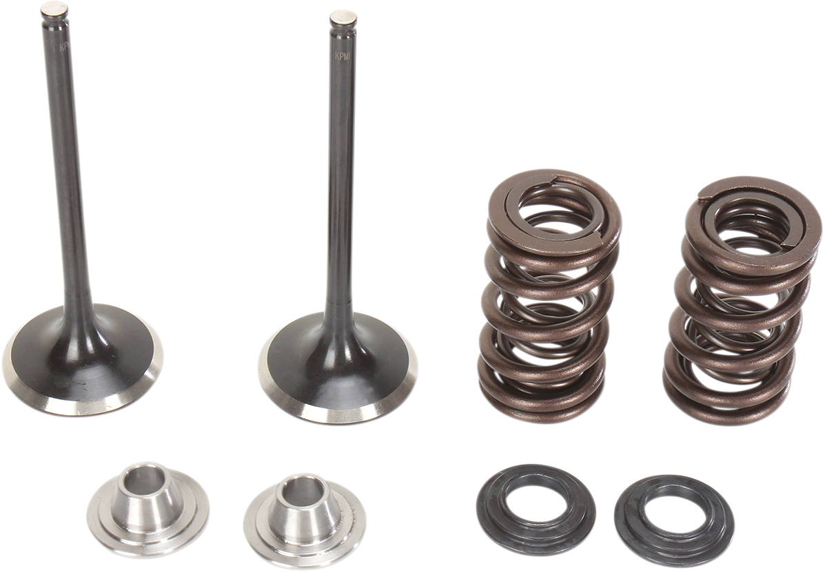 Stainless Intake Valve and Spring Kit undefined