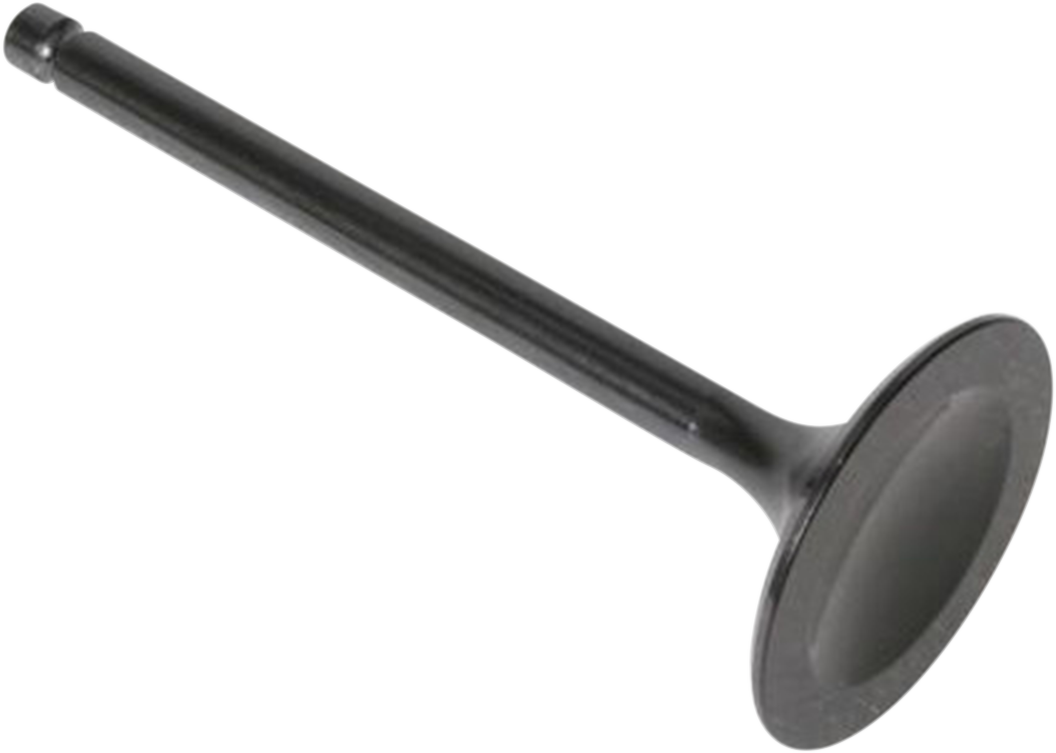 Black Diamond™ Engine Valve undefined