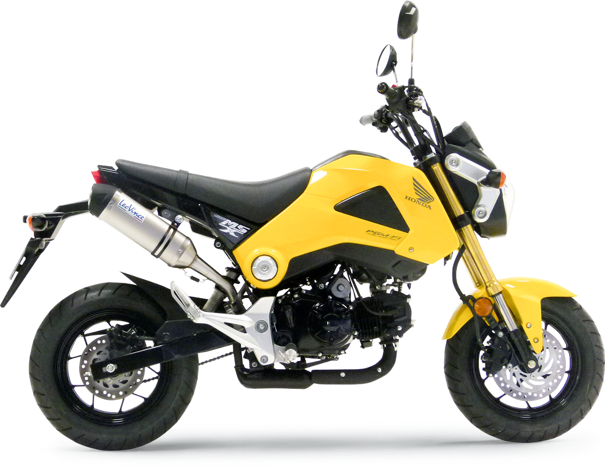 LEOVINCE LV One Slip-On Muffler