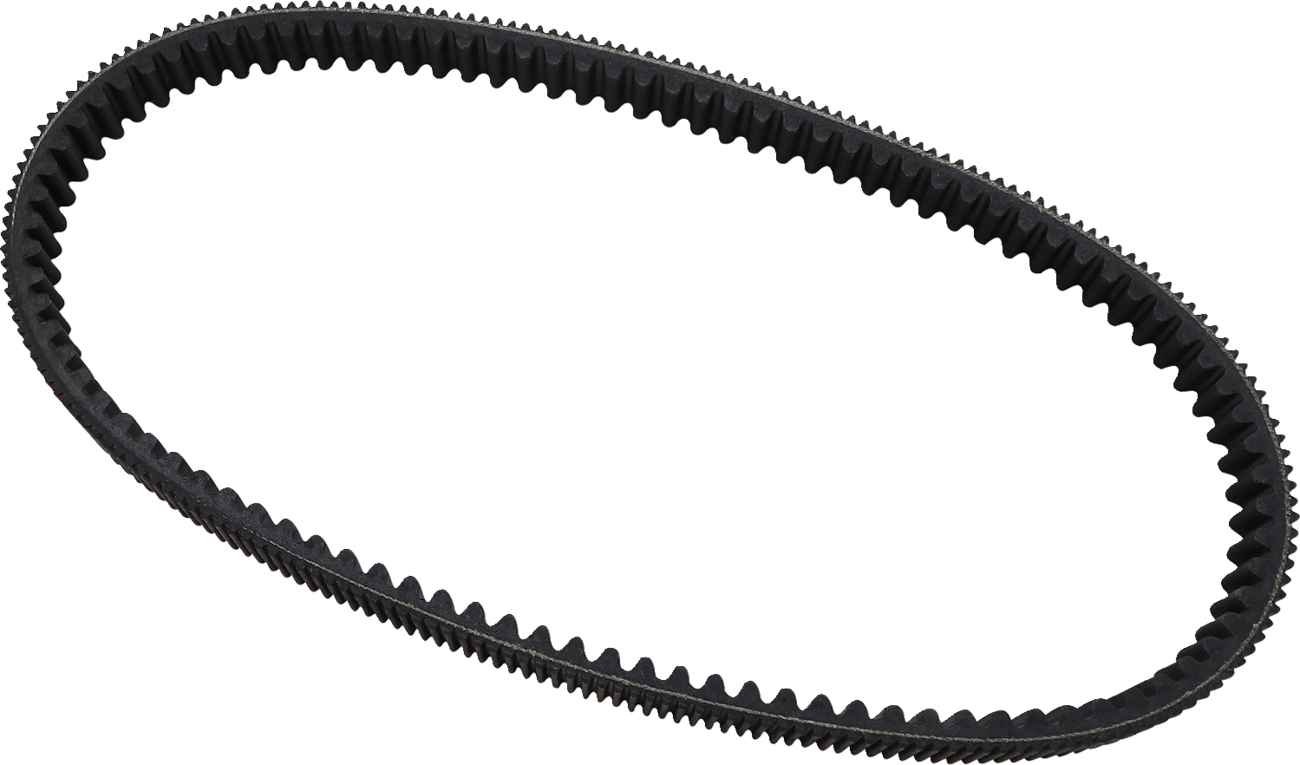 High Performance Extreme Belt undefined