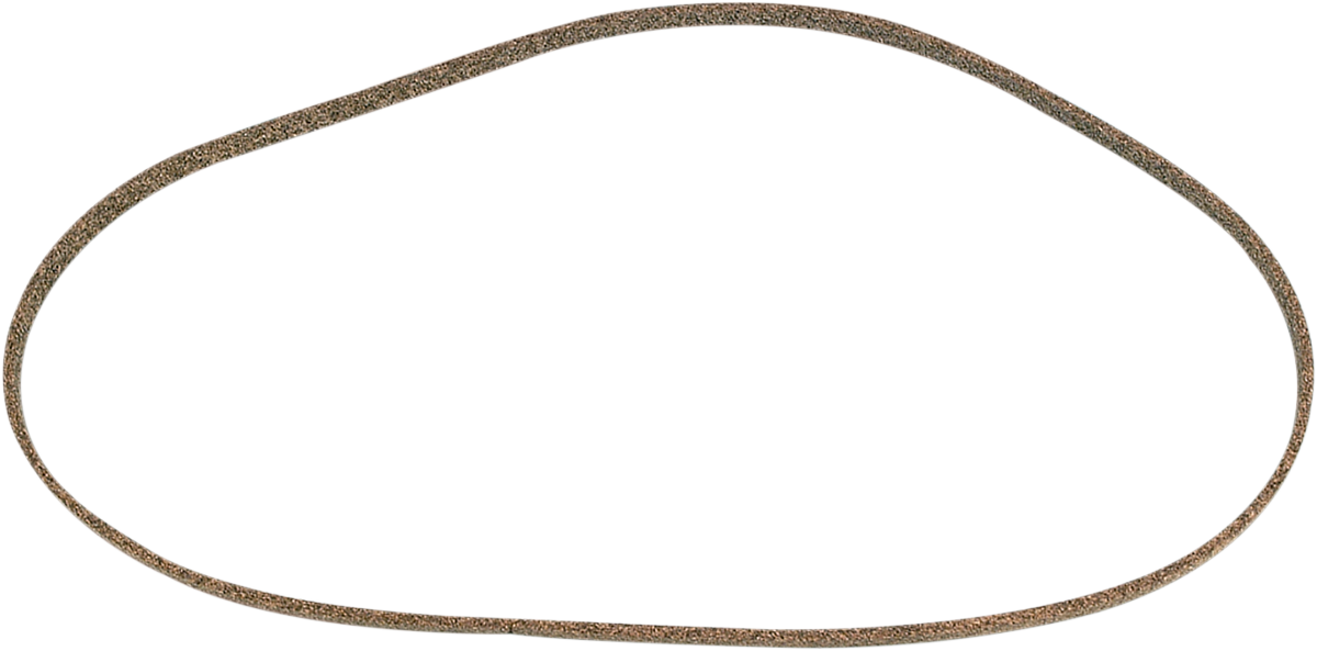 Primary Gasket undefined