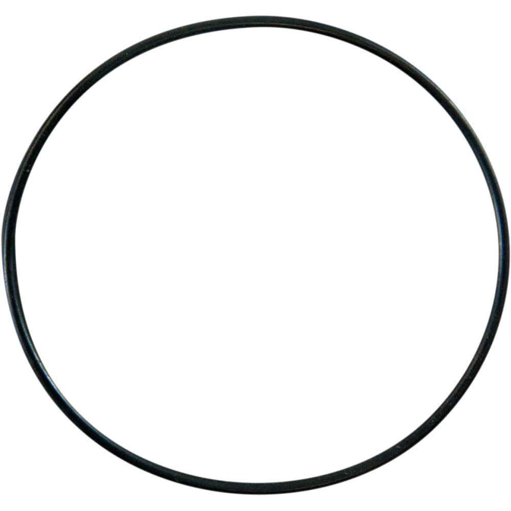 Pro Circuit Replacement Water Pump Cover ORing PC40080401 eBay