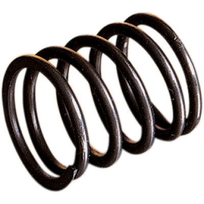 Wsm (010-453) Rotary Valve Spring