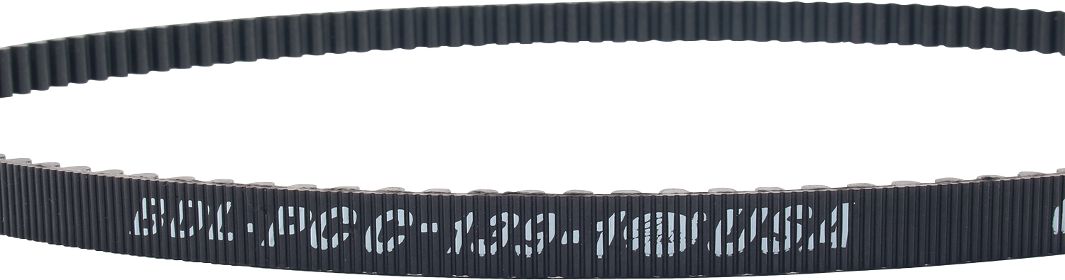 Rear Drive Belt