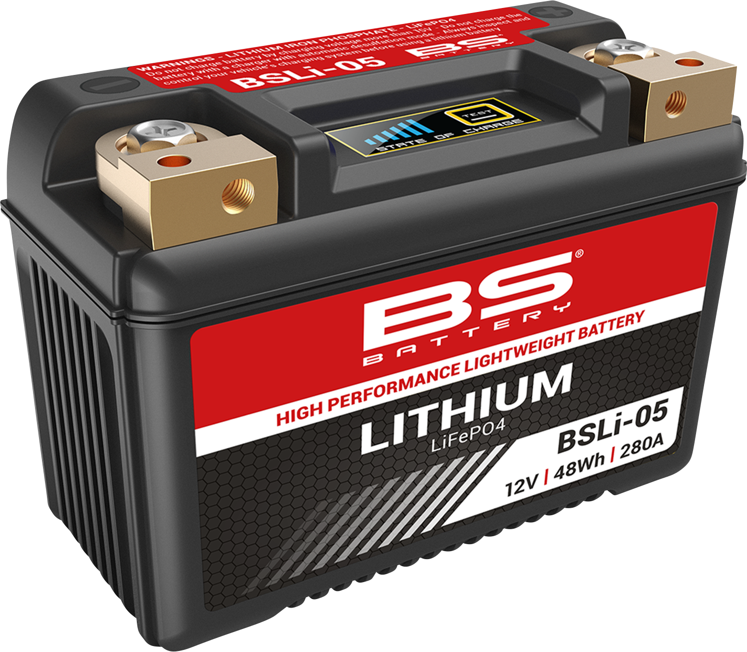 Lithium LiFePO4 Battery