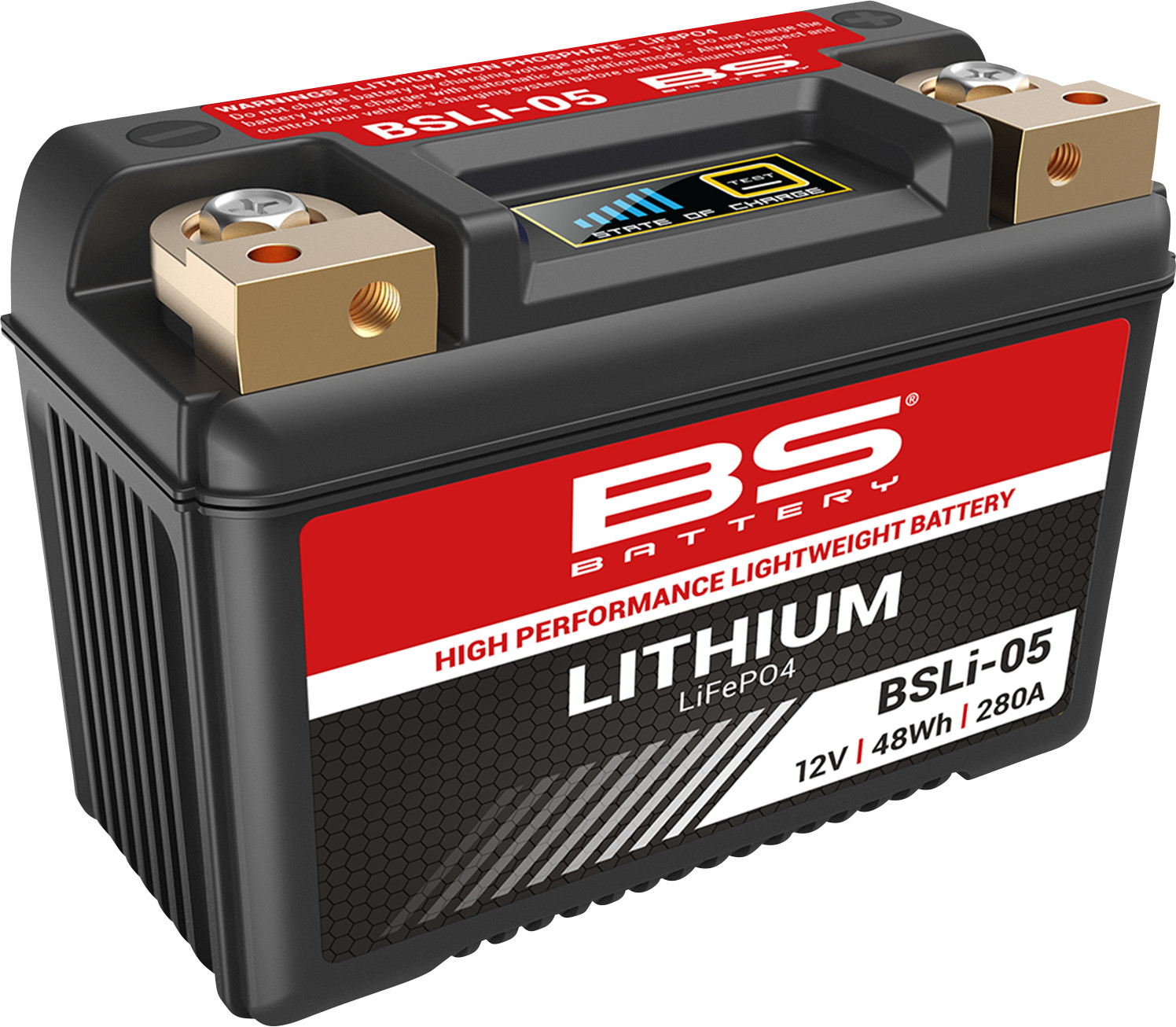 BS BATTERY Lithium LiFePO4 Battery