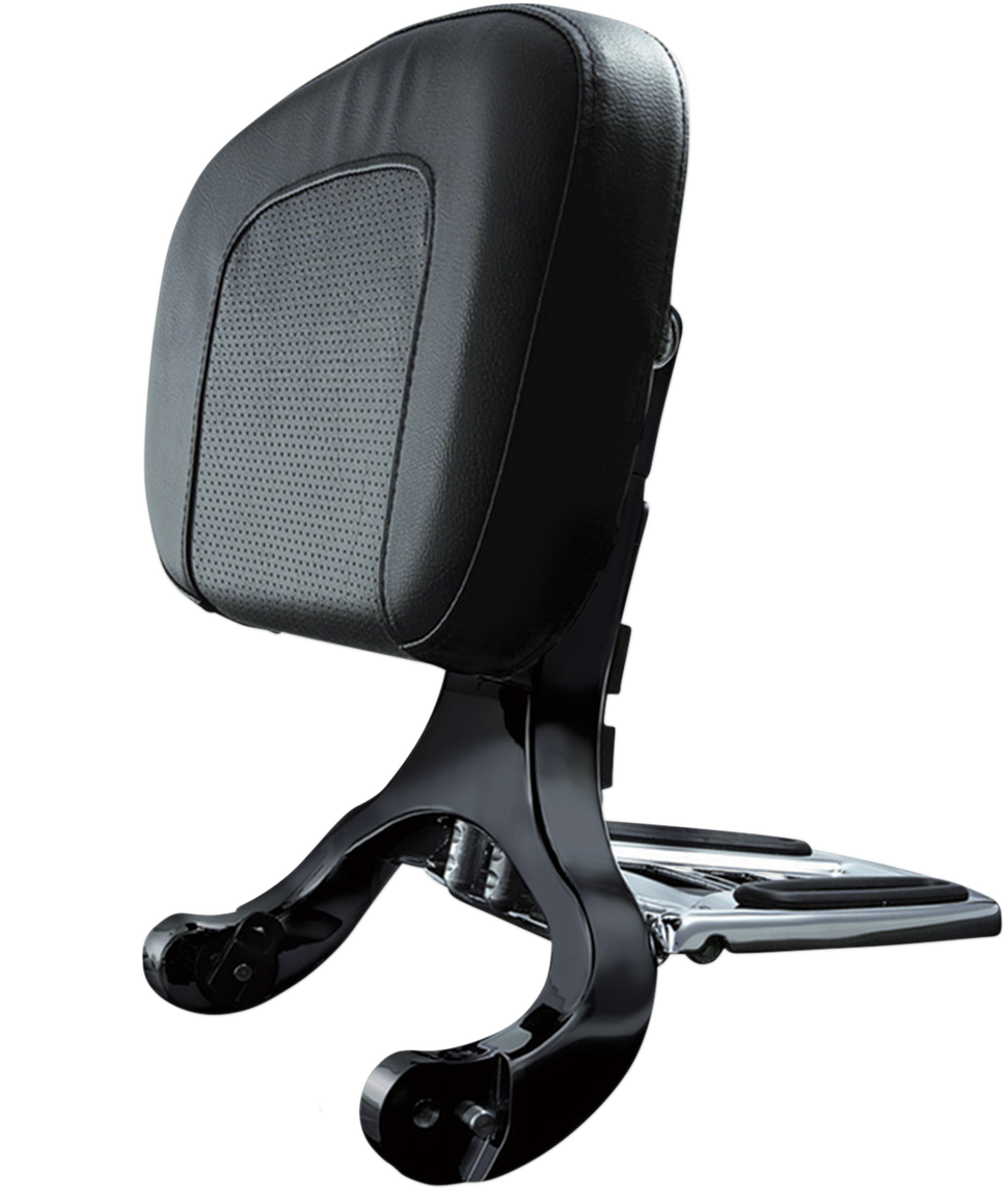 Multi-Purpose Driver and Passenger Backrest