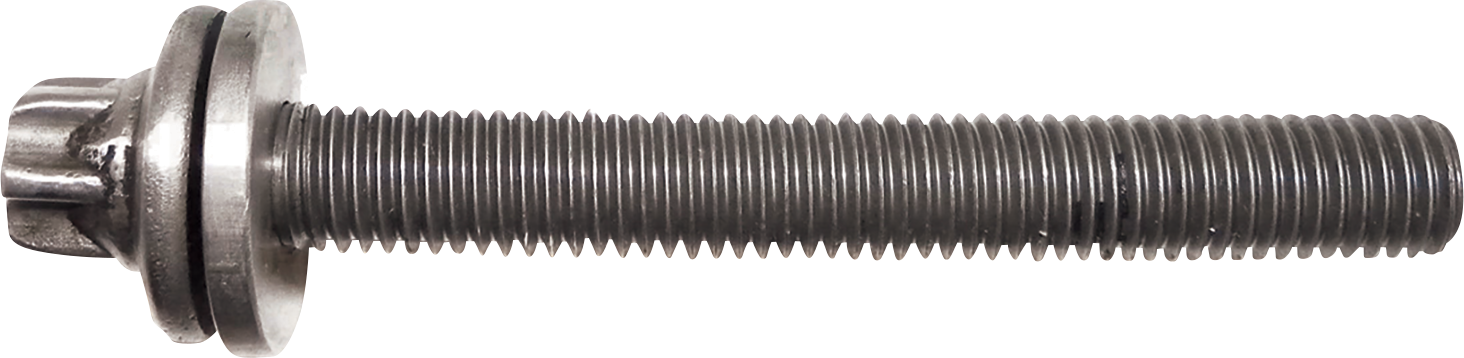 WSM Crankcase Bolt