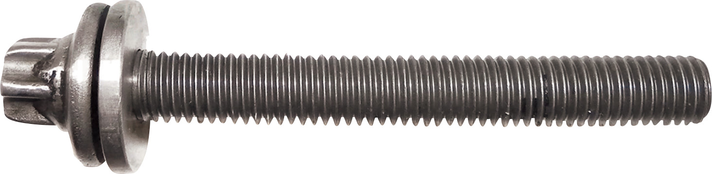 WSM Crankcase Bolt