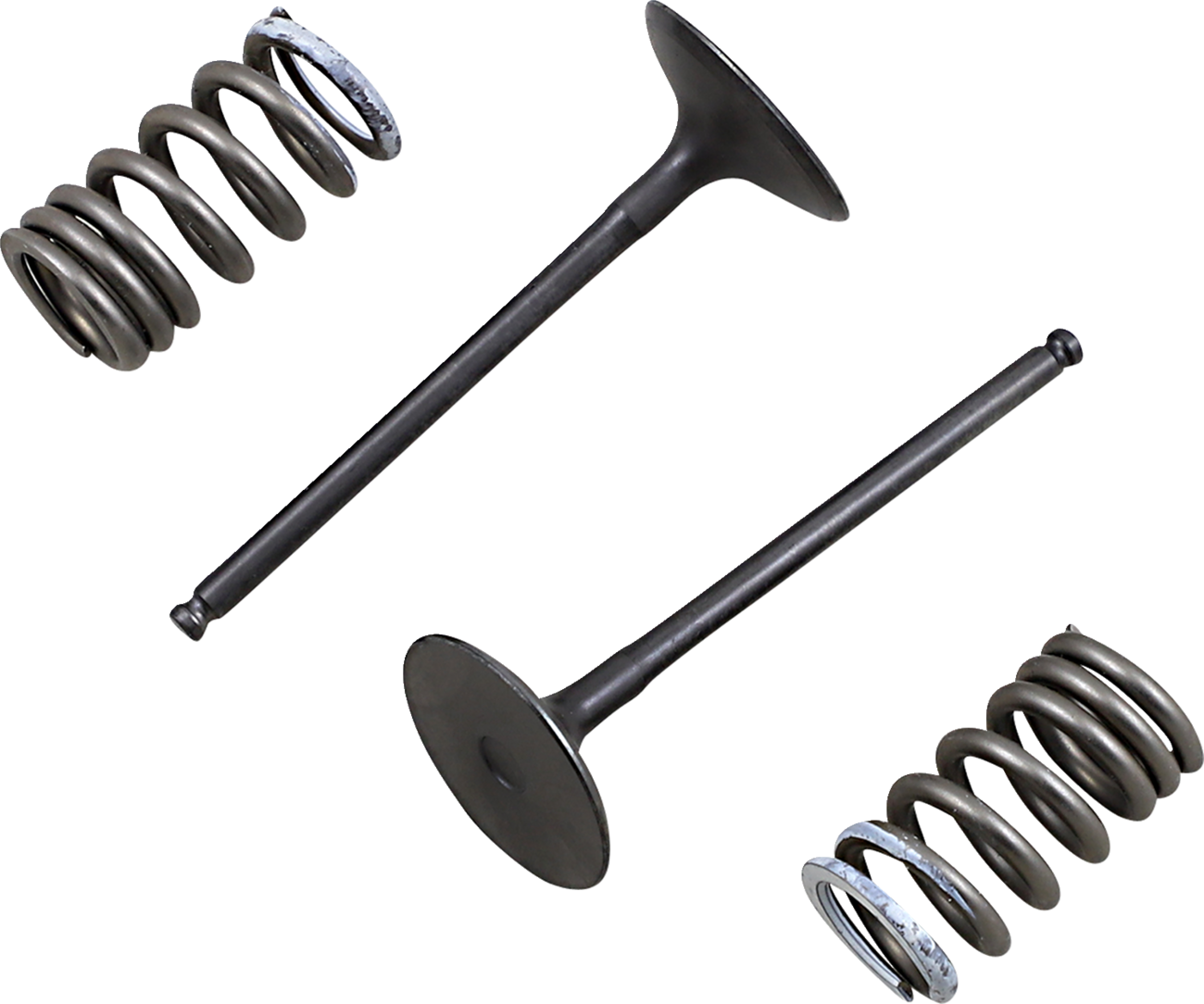 Prox Valve and Spring Kit - Intake - Suzuki