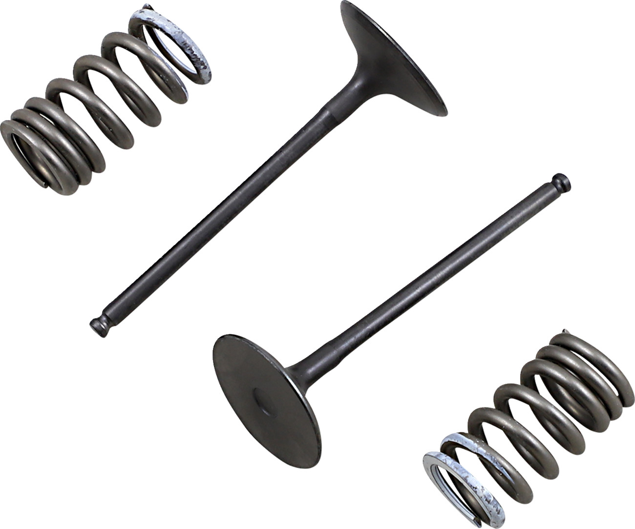 Prox Valve and Spring Kit - Intake - Suzuki