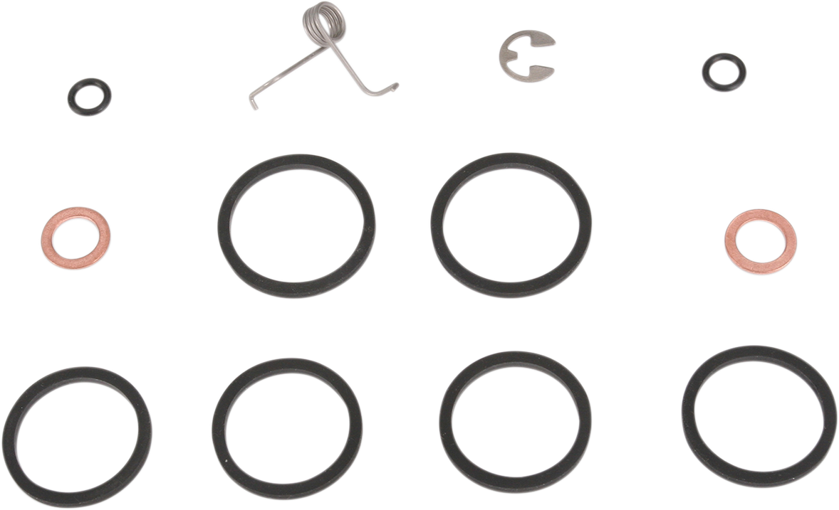 600 Series 6-Piston Brake Caliper Rebuild Kit