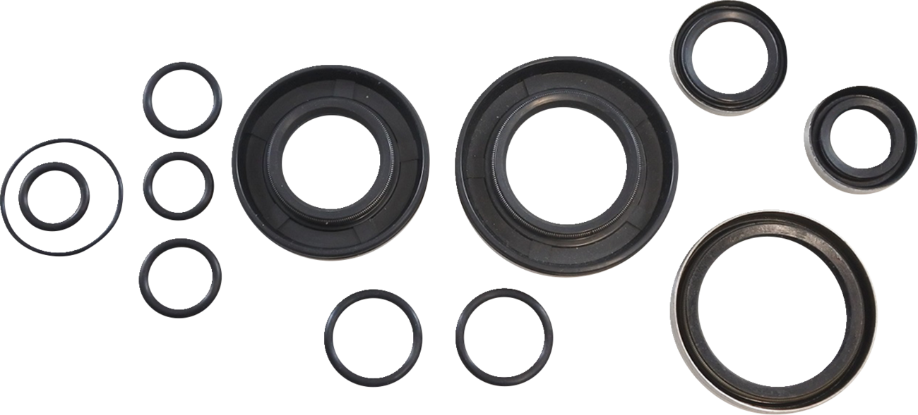 Oil Seal Kit