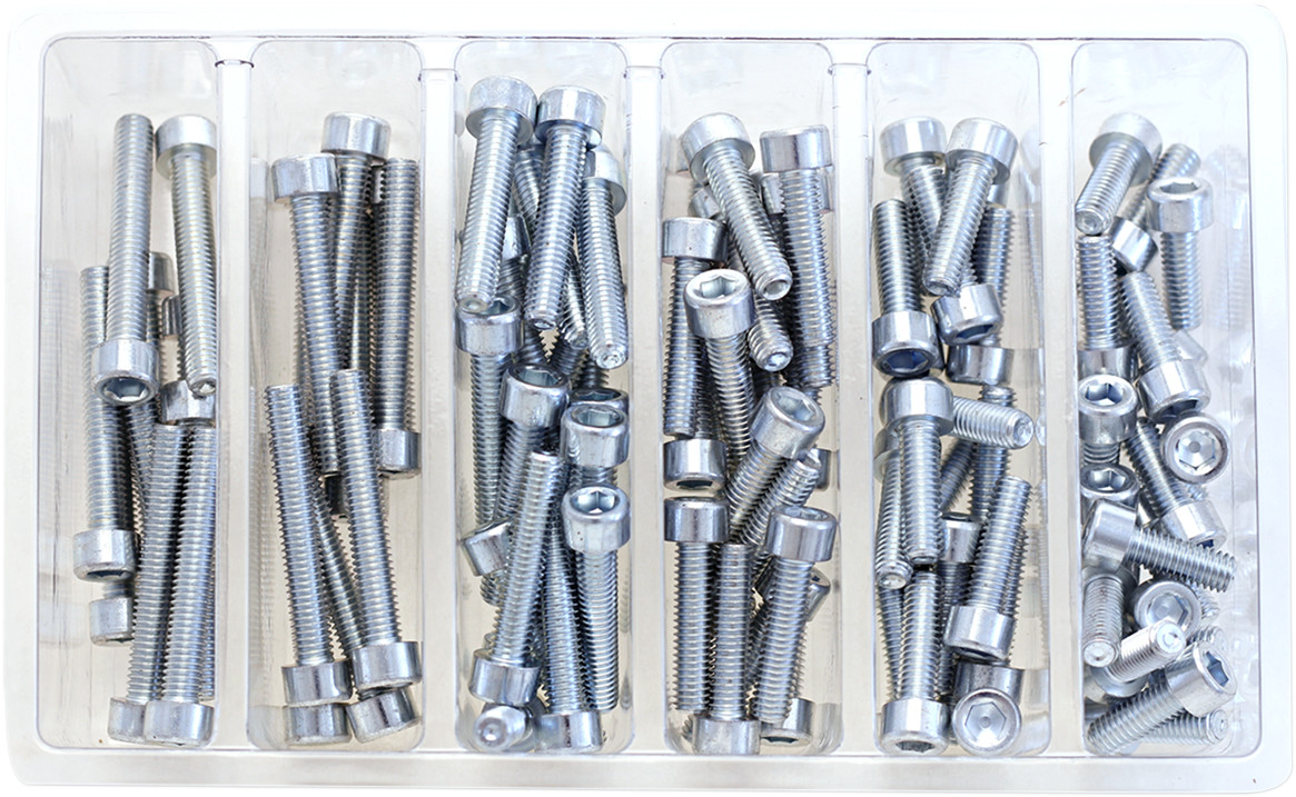 BOLT Socket Head Allen Bolt