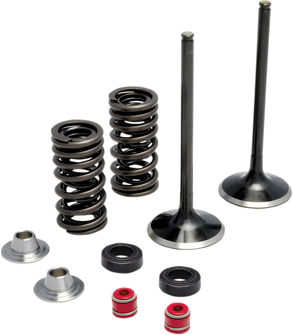 KIBBLEWHITE Intake Stainless Conversion Valve and Spring Kit
