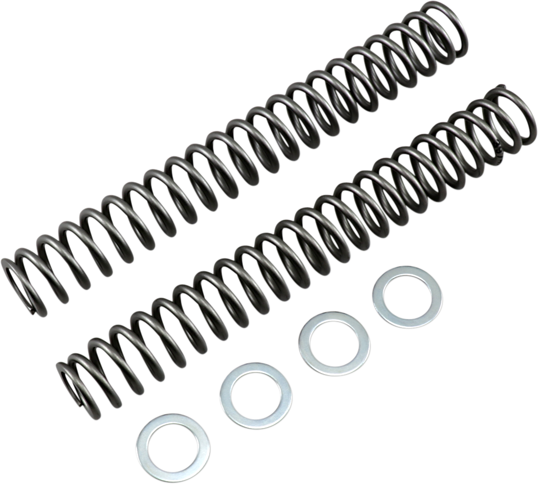 Race Tech Fork Springs FRSP S4031