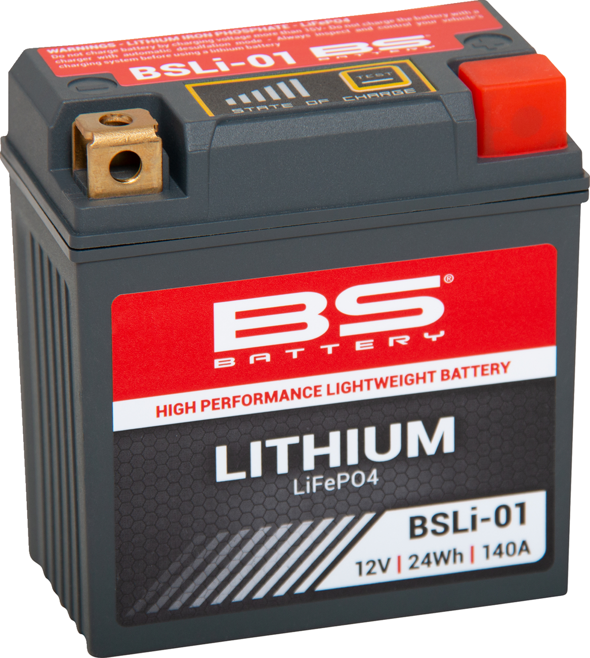 BS BATTERY Lithium LiFePO4 Battery