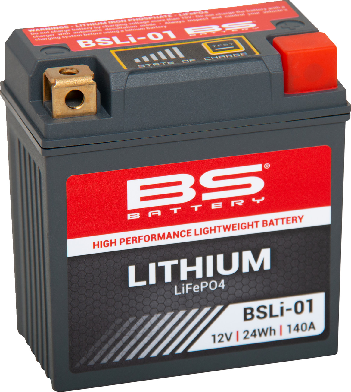 BS BATTERY Lithium LiFePO4 Battery