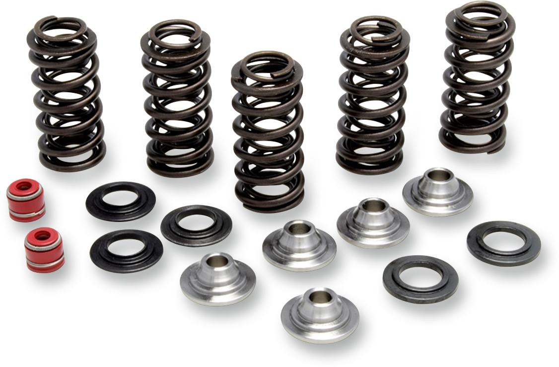 KIBBLEWHITE Valve Spring Kit