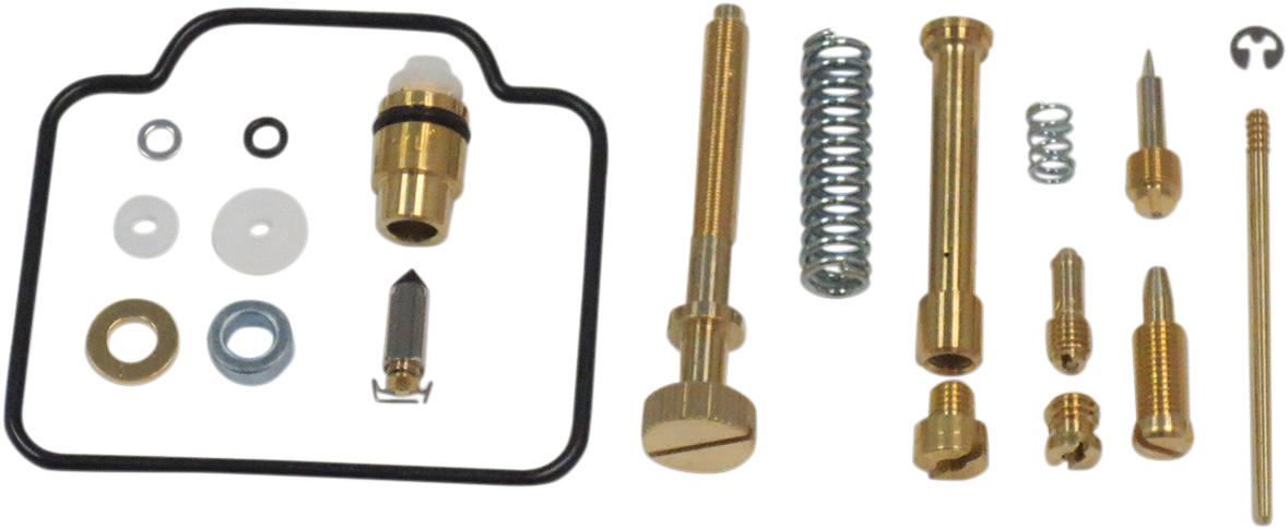 Carburetor Repair Kit