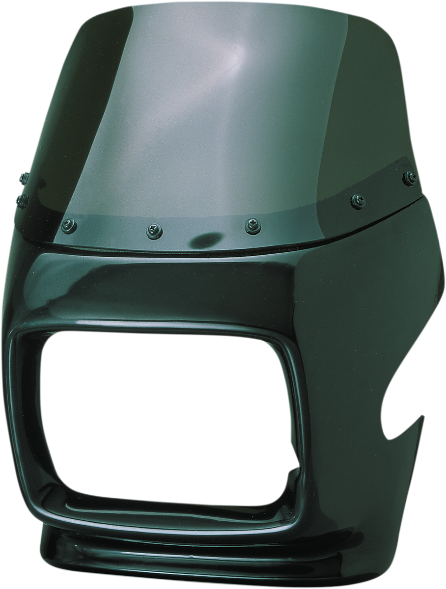 MAIER GP Universal Sport Fairing with Windshield