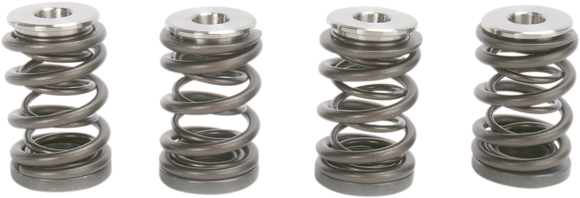 Valve Spring Kit