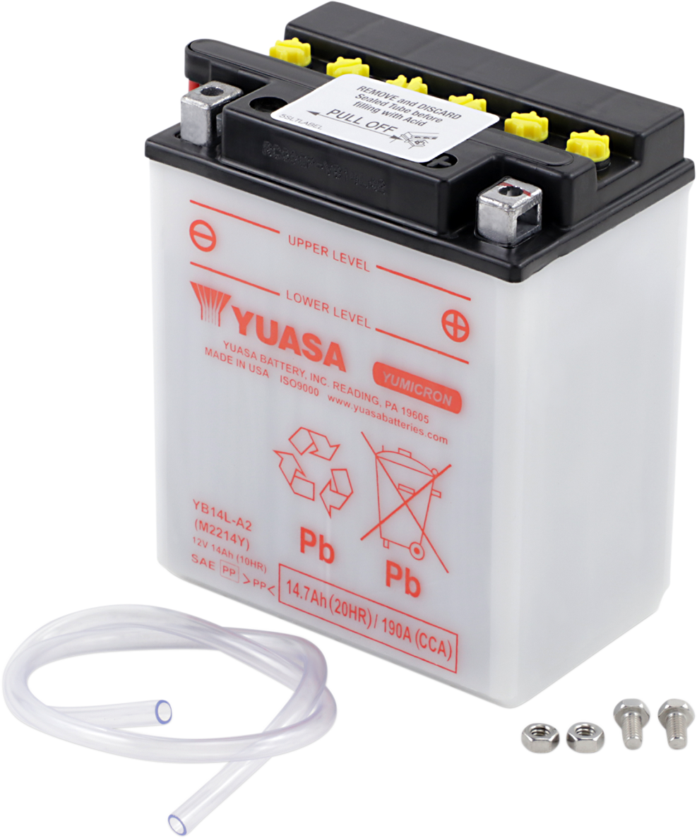 Conventional Battery — 12 V