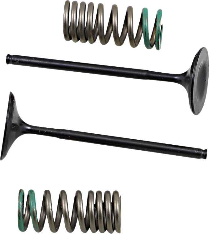 Prox Valve and Spring Kit - Intake - Honda