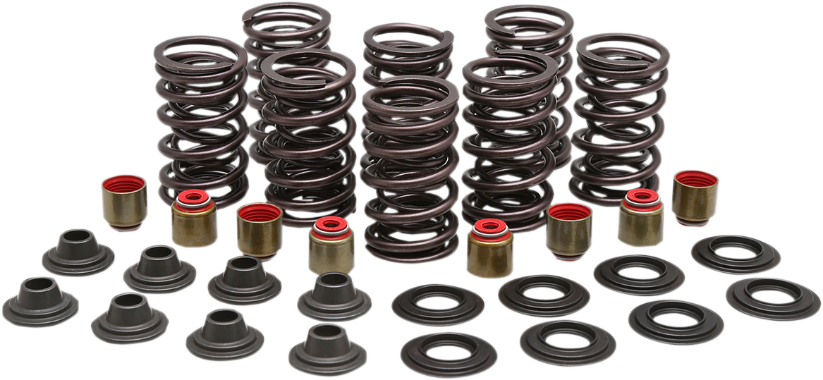 Valve Spring Kit