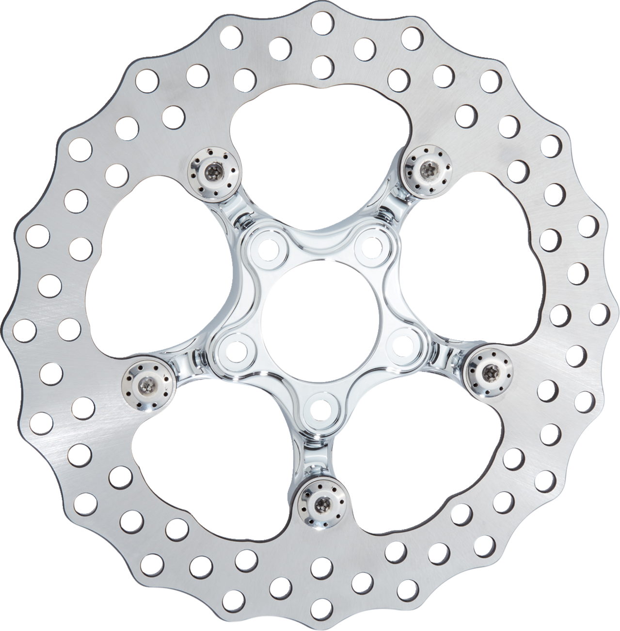 Arlen ness Spider Rotor - 11-1/2" - Chrome Harley Davidson