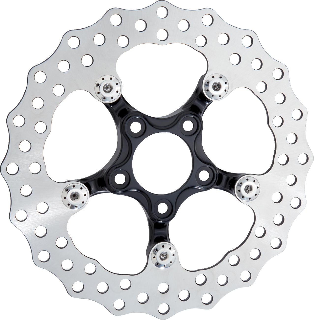 Arlen ness Spider Rotor - 11-1/2" - Black Harley Davidson